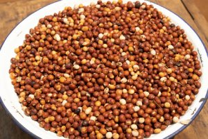 pigeon-peas